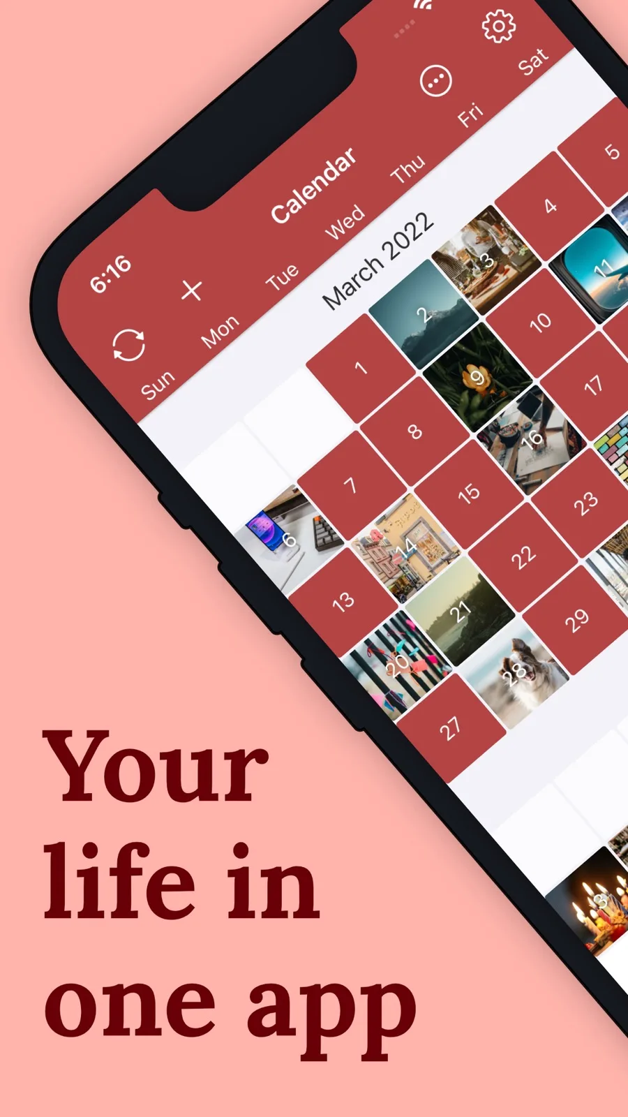 Diarium's calendar month view with photo thumbnails filling each day that has an entry